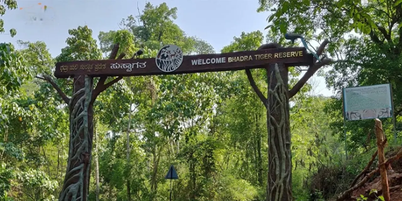 Bhadra Wildlife Sanctuary